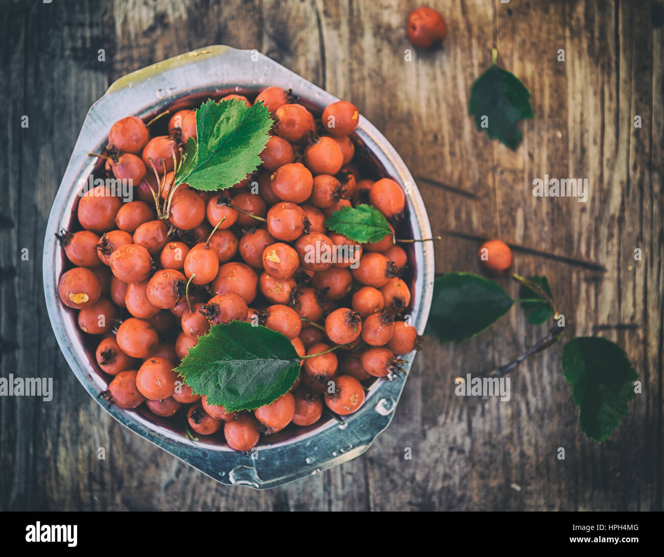 Rose hip. In radica di legno rustico sfondo. vintage foto a colori Foto Stock
