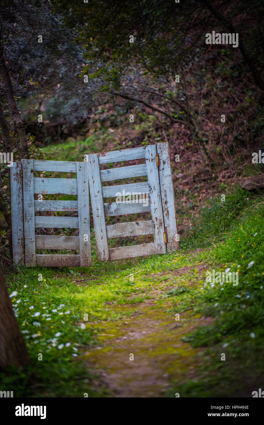 In legno di colore blu Garden Gate Foto Stock