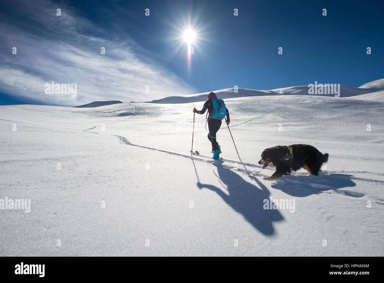 Ragazza fa sci alpinismo con il suo cane in una favola posto al sole Foto Stock