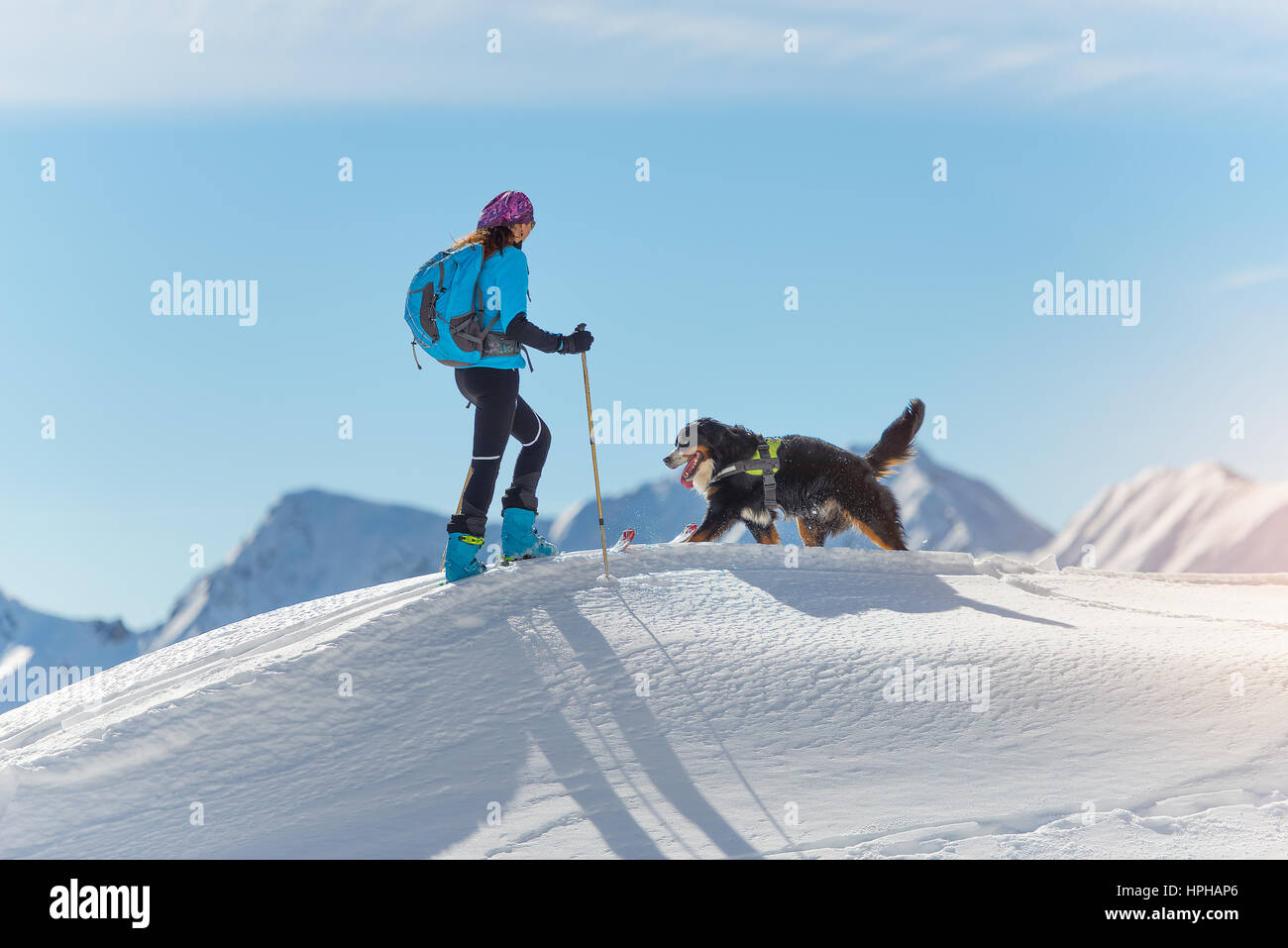 Ragazza sulla cima di una montagna con gli sci e il suo cane alpinista Foto Stock