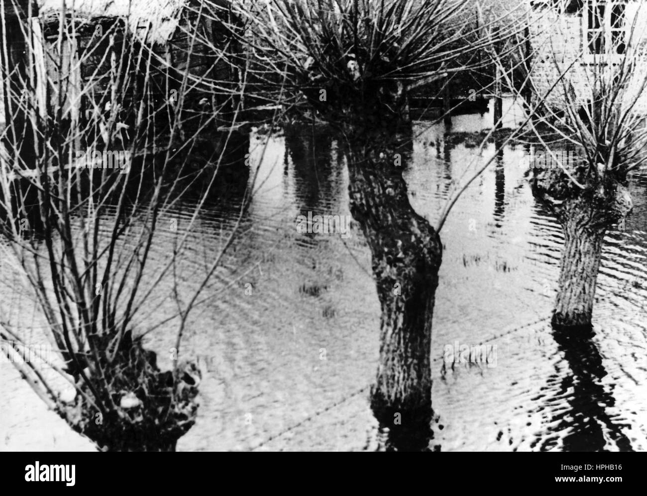 L'immagine della propaganda nazista mostra un'alluvione deliberata della zona costiera olandese da parte della Wehrmacht tedesca per proteggersi dagli attacchi alleati. Pubblicato nel giugno 1944. Un reporter nazista ha scritto sul retro della foto su 06.06.1944, 'Atlantic Wall - guardando improvvisamente molto diverso. L'alluvione delle zone balneari continua in alcune zone fino ai cordoni alla fine del nostro territorio. Una fattoria, che si trova direttamente dietro la base di una batteria costiera, è ora completamente allagata d'acqua". Fotoarchiv für Zeitgeschichte - NESSUN SERVIZIO DI CABLAGGIO - | utilizzo in tutto il mondo Foto Stock L'immagine della propaganda nazista mostra un'alluvione deliberata della zona costiera olandese da parte della Wehrmacht tedesca per proteggersi dagli attacchi alleati. Pubblicato nel giugno 1944. Un reporter nazista ha scritto sul retro della foto su 06.06.1944, 'Atlantic Wall - guardando improvvisamente molto diverso. L'alluvione delle zone balneari continua in alcune zone fino ai cordoni alla fine del nostro territorio. Una fattoria, che si trova direttamente dietro la base di una batteria costiera, è ora completamente allagata d'acqua". Fotoarchiv für Zeitgeschichte - NESSUN SERVIZIO DI CABLAGGIO - | utilizzo in tutto il mondo Foto Stock
