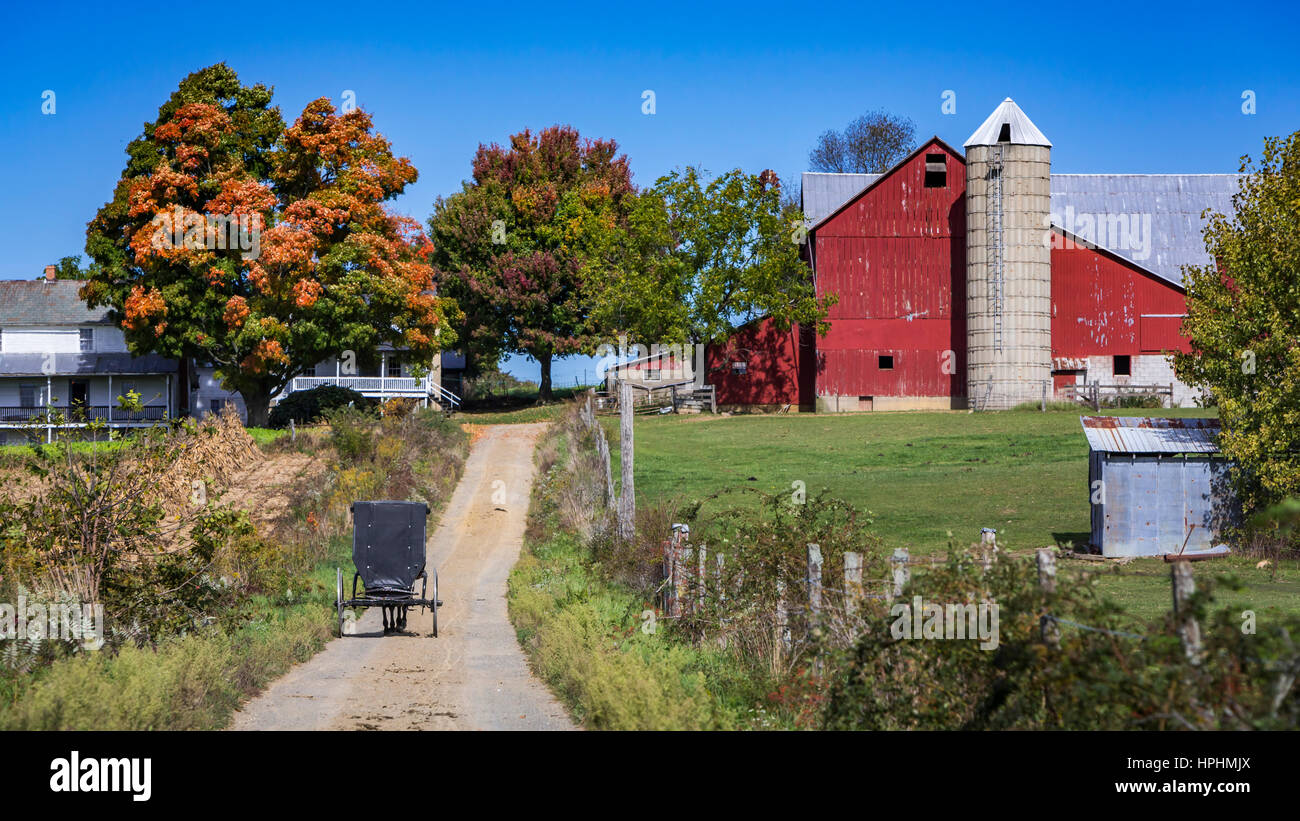 Cavallo Amish e passeggini lungo le strade rurali vicino Kidron, Ohio, Stati Uniti d'America. Foto Stock