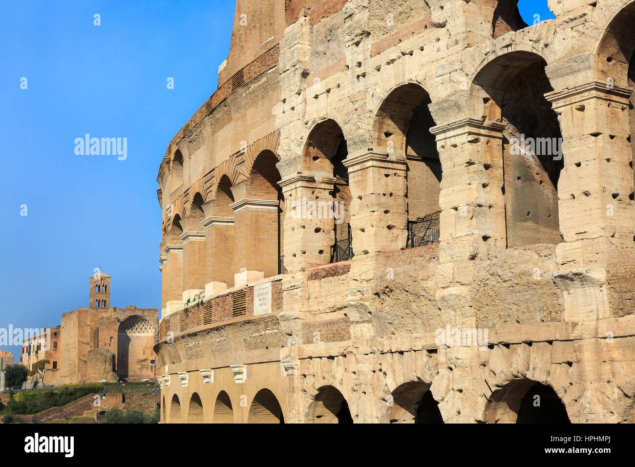Vista da appena riparata e rinnovato lato del Colosseo verso il Colle Palatino,roma, Italia Foto Stock