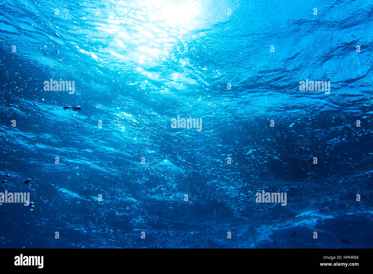Subacquea blu profondo del mare alla ricerca di sfondo nel sole dal fondo dell'oceano Foto Stock