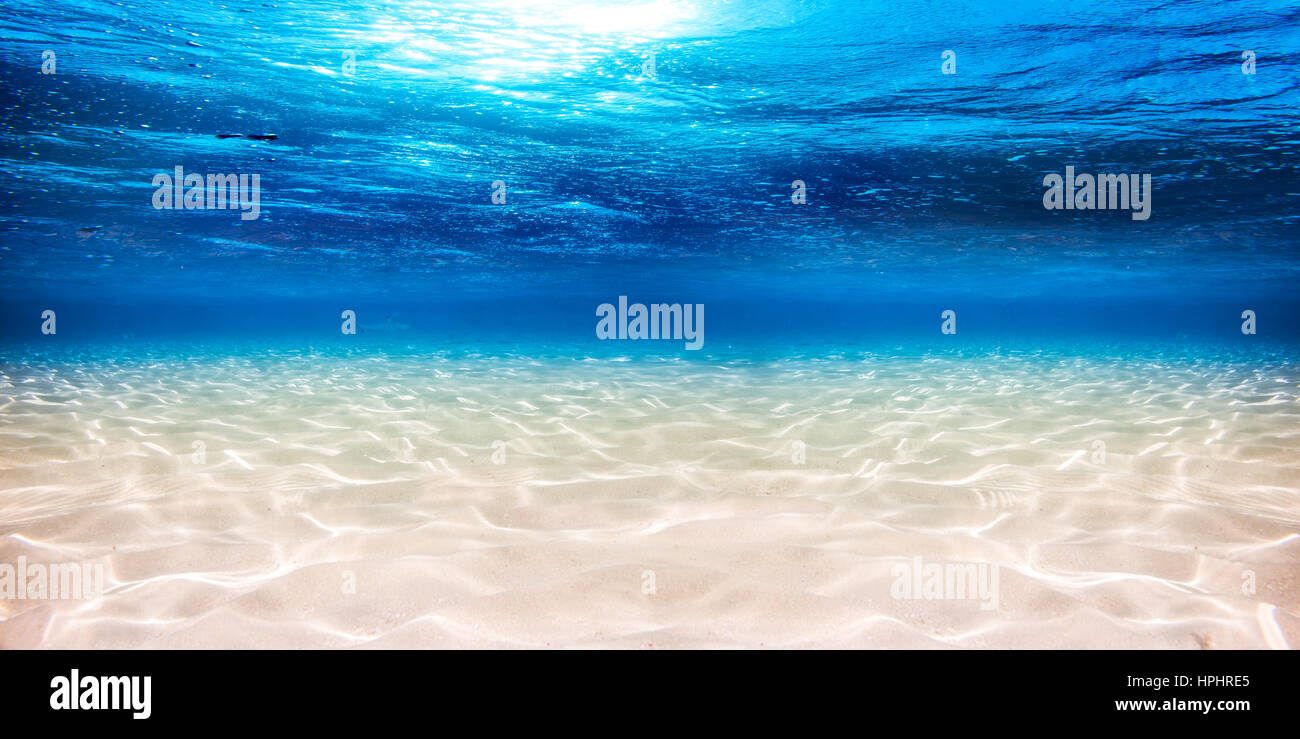 Sottomarino blue ocean ampio panorama sullo sfondo con sabbia di fondo del mare Foto Stock