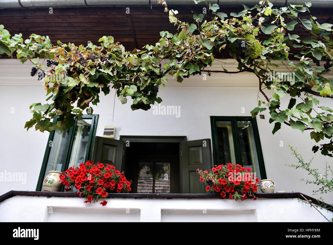 Casa rurale con red gerani nel portico Foto Stock