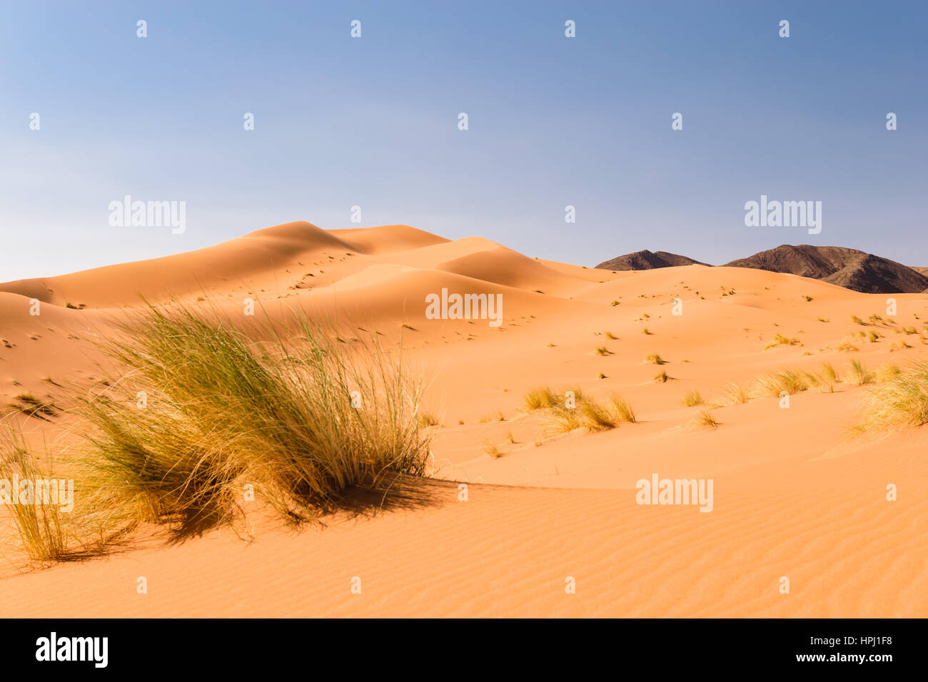 Vista sulle dune di sabbia nel deserto del Sahara Ouzina con alcune montagne nere in background, Marocco. Foto Stock