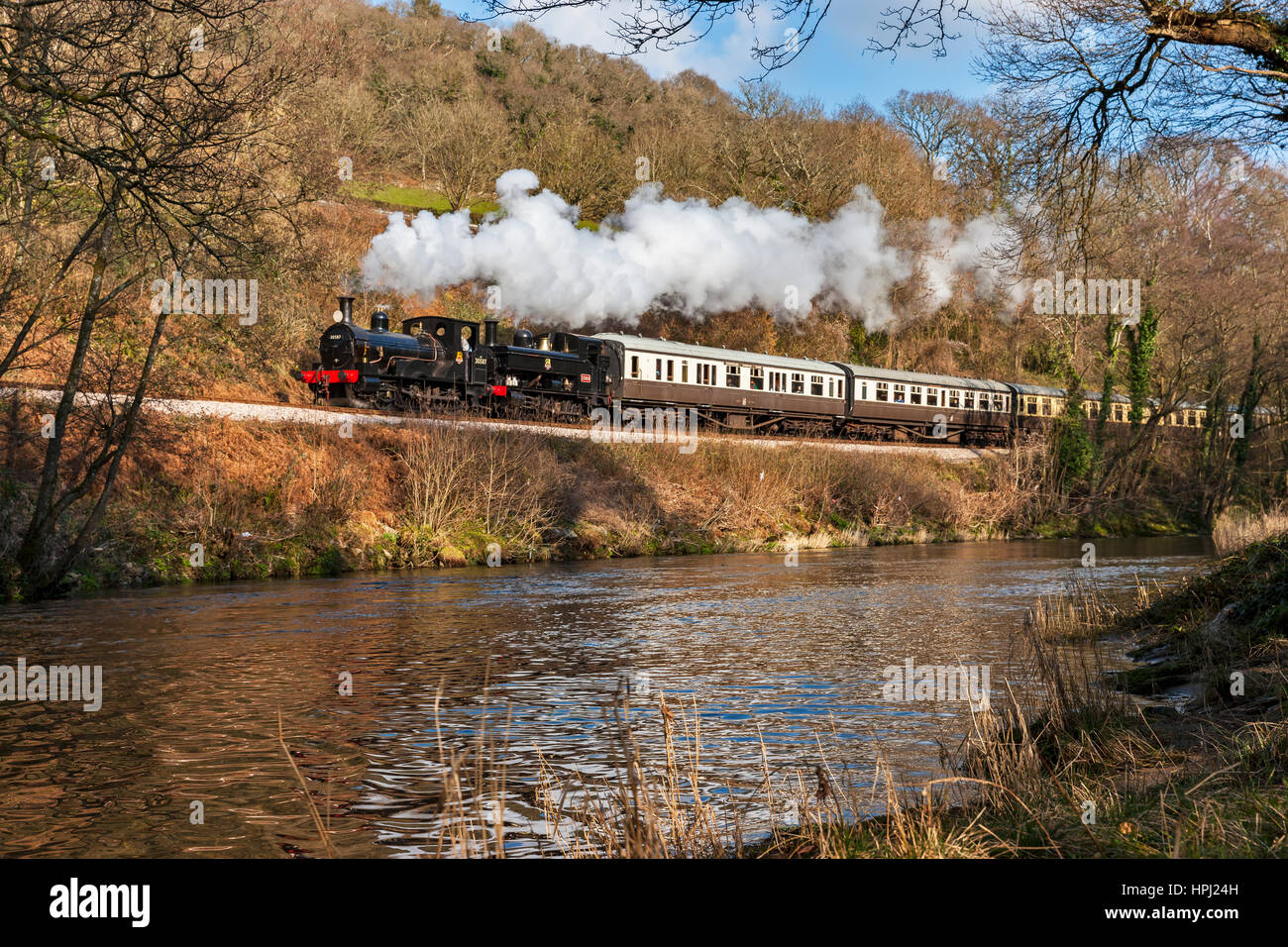 South Devon Ferrovie a Vapore Foto Stock