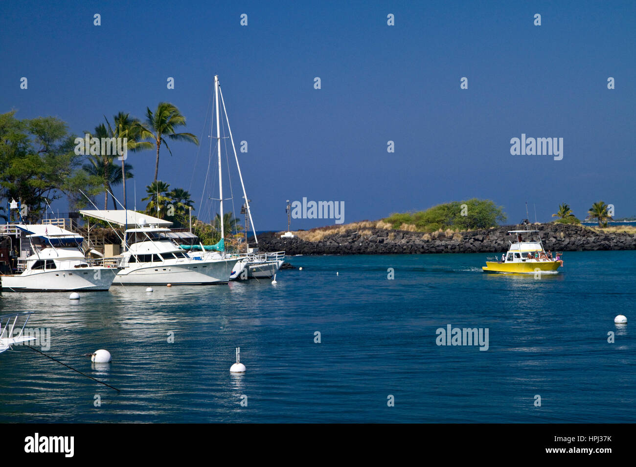 Barca marina a Kona sulla Big Island delle Hawaii, Hawaii, Stati Uniti d'America. Foto Stock