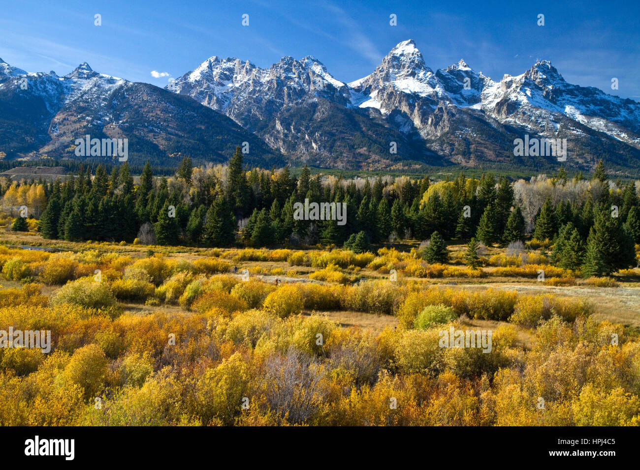 Teton National Park, Wyoming negli Stati Uniti. Foto Stock