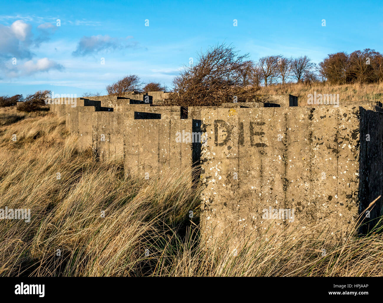 Righe di cubo anti serbatoio di blocchi in calcestruzzo, parte della seconda guerra mondiale la difesa costiera, a Aberlady, East Lothian, Scozia, Regno Unito con la parola graffiti Foto Stock