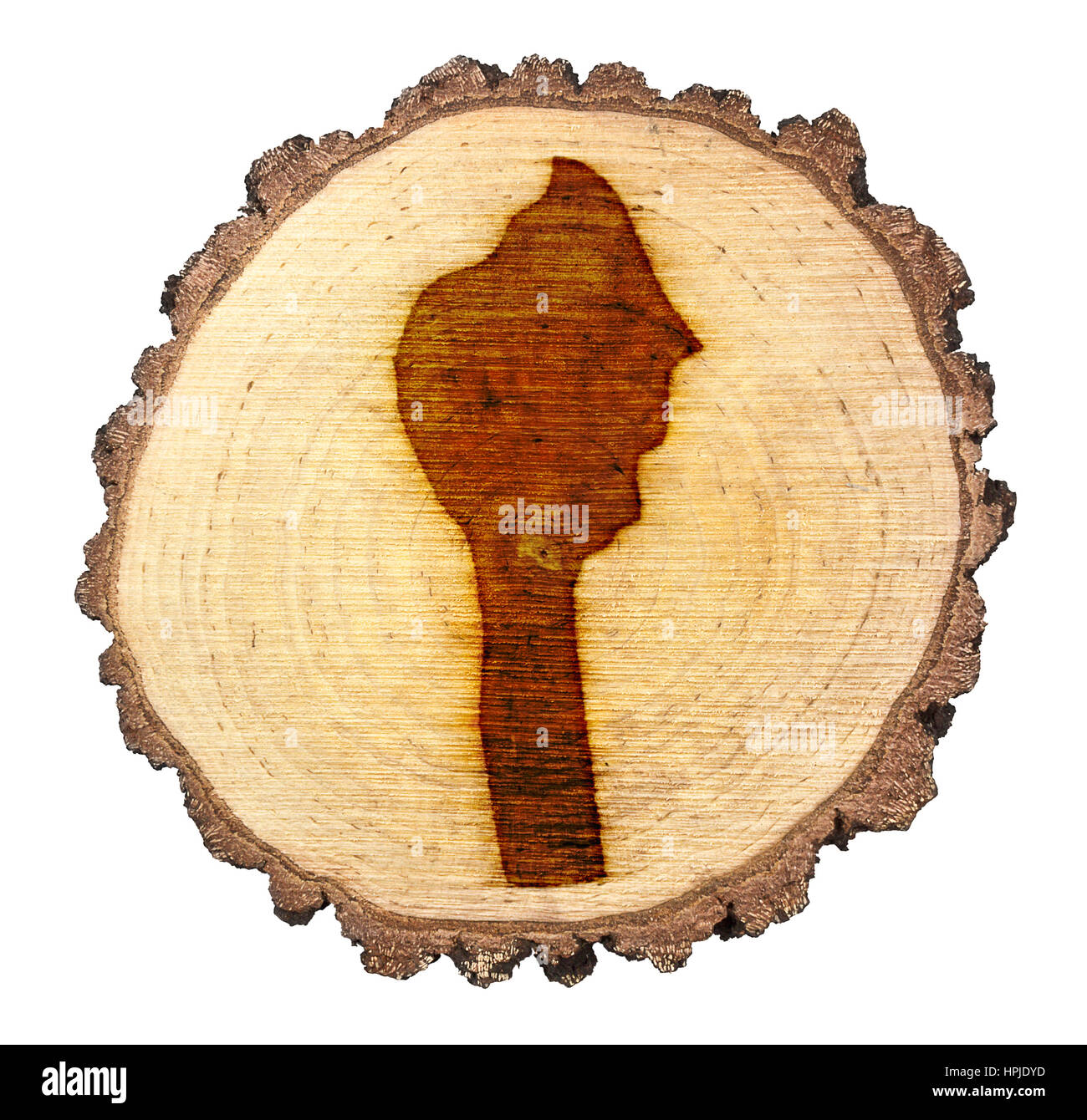 Una fetta di legno di quercia e la forma del Benin sul marchio .(serie) Foto Stock