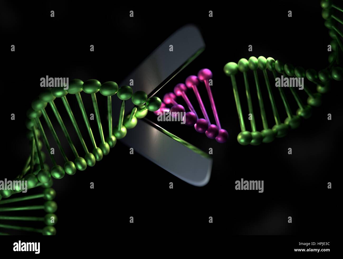 Il filamento di DNA in colori metallici tagliati con una forbice 3D render Foto Stock