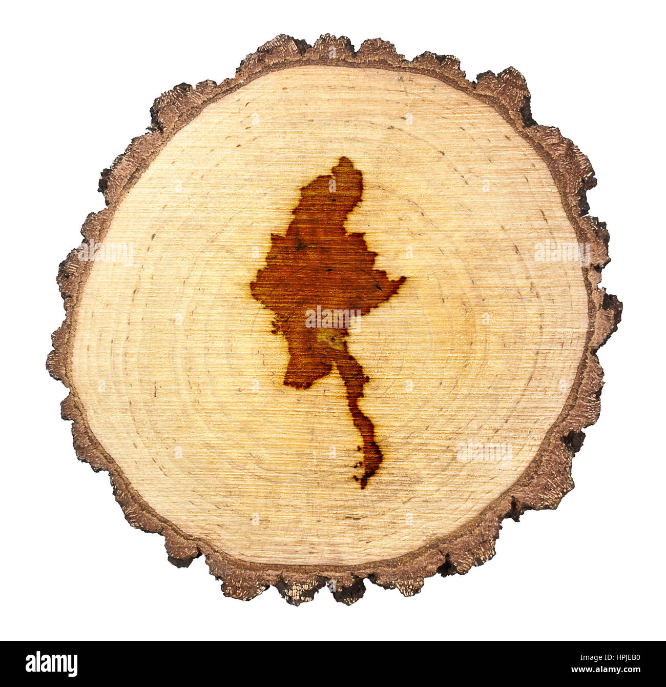 Una fetta di legno di quercia e la forma della Birmania sulla marca .(serie) Foto Stock
