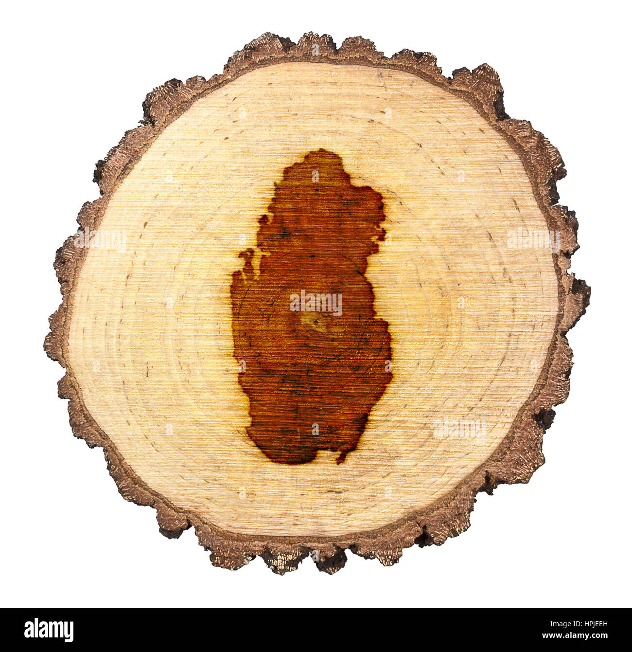 Una fetta di legno di quercia e la forma del Qatar sul marchio .(serie) Foto Stock