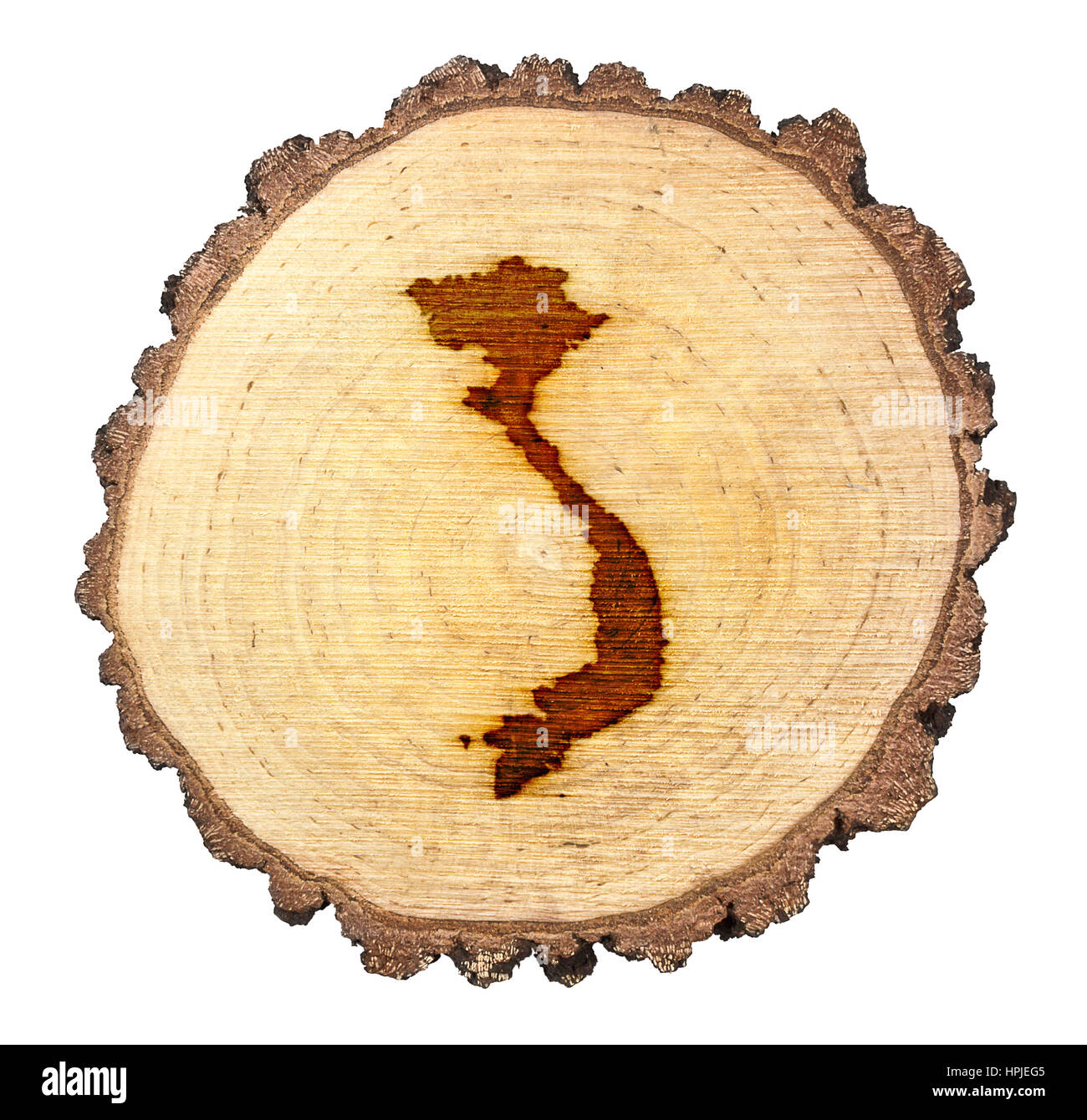 Una fetta di legno di quercia e la forma del Vietnam sul marchio .(serie) Foto Stock