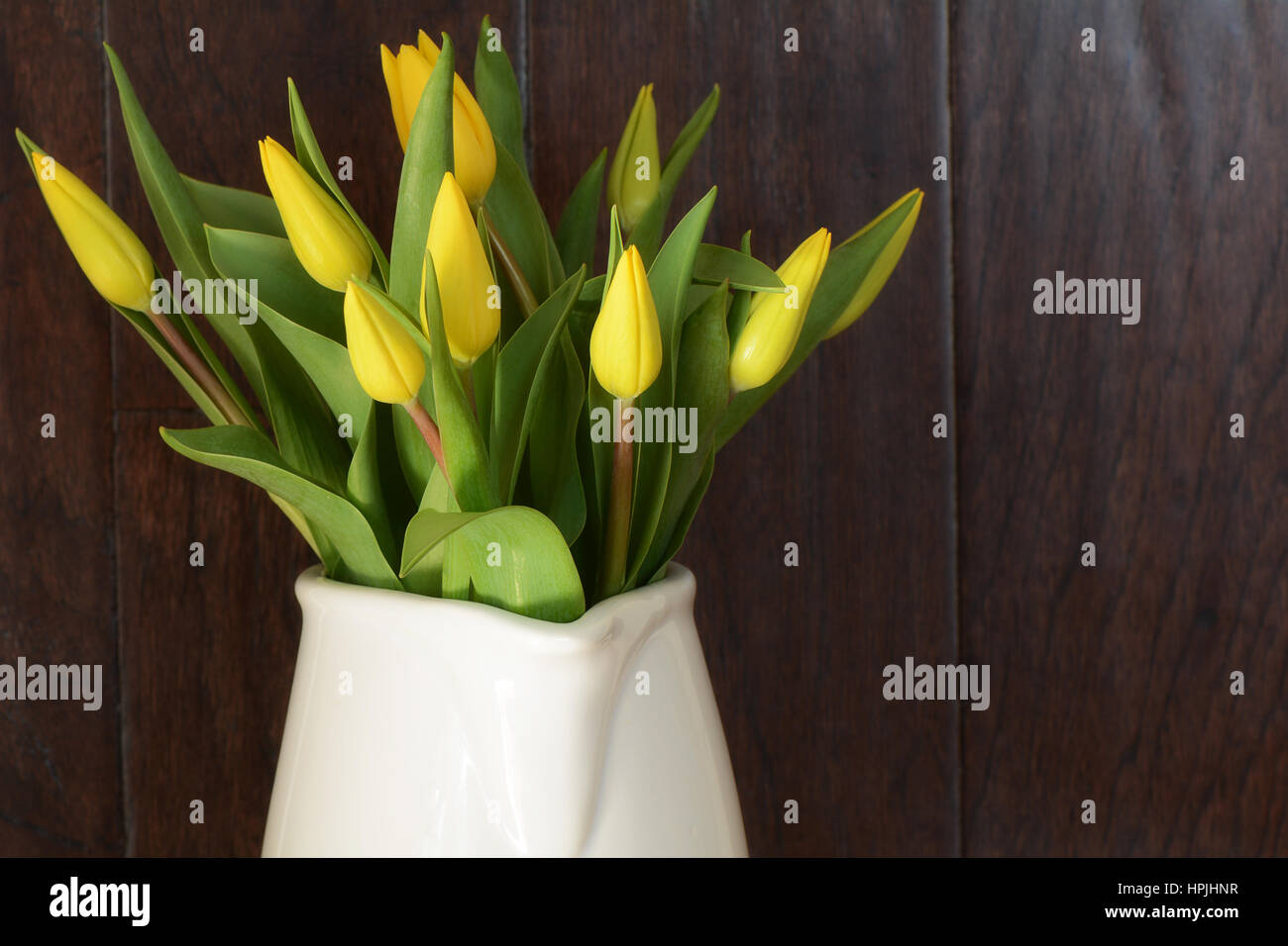 Tulipani gialli in caraffa del bianco con legno rustico sfondo in formato orizzontale Foto Stock