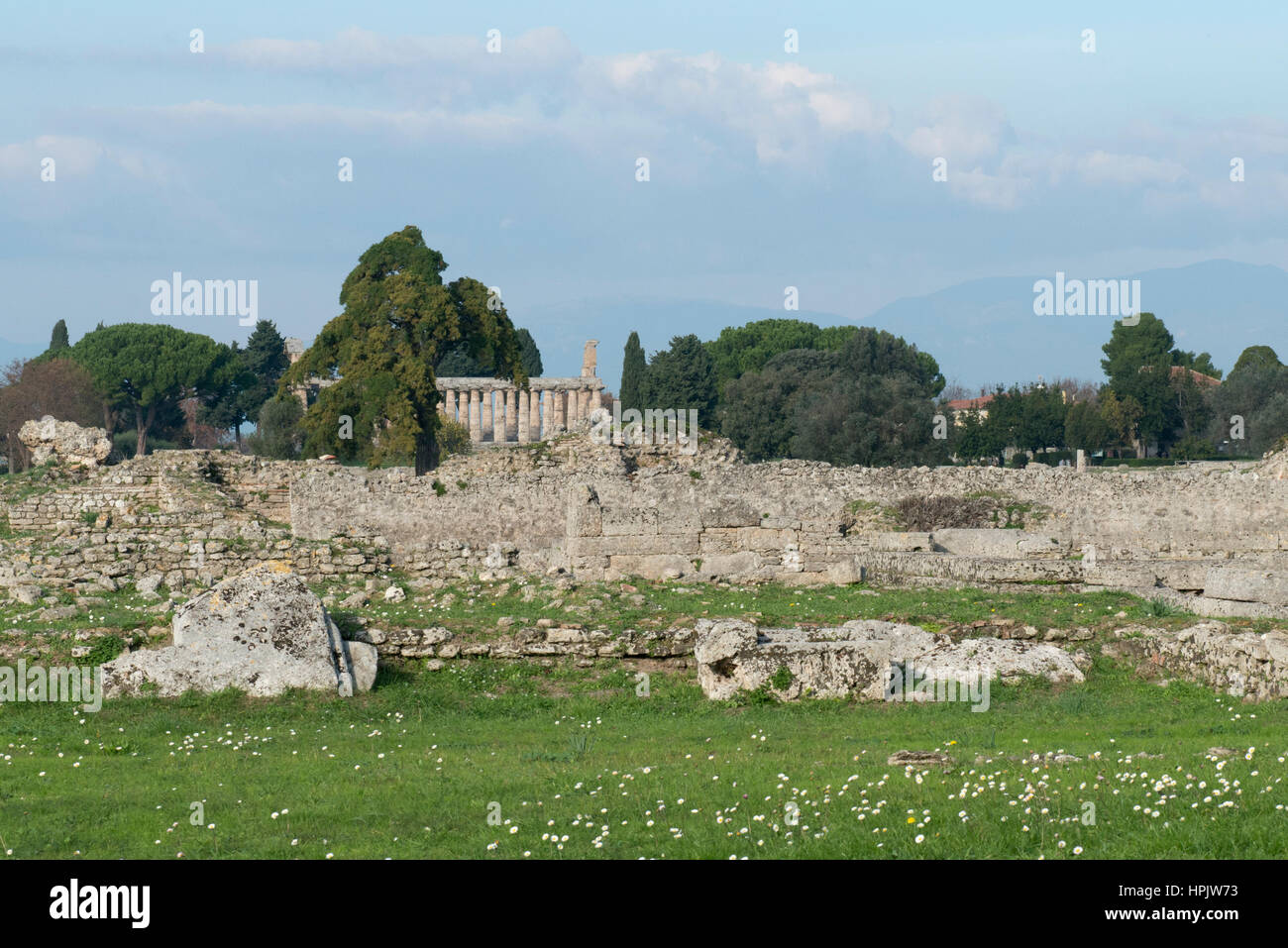 Paestum, tempio, area archeologica, Sud Italia Foto Stock