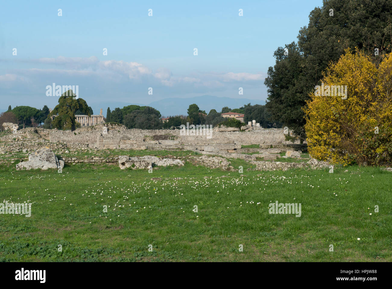 Paestum, tempio, area archeologica, Sud Italia Foto Stock