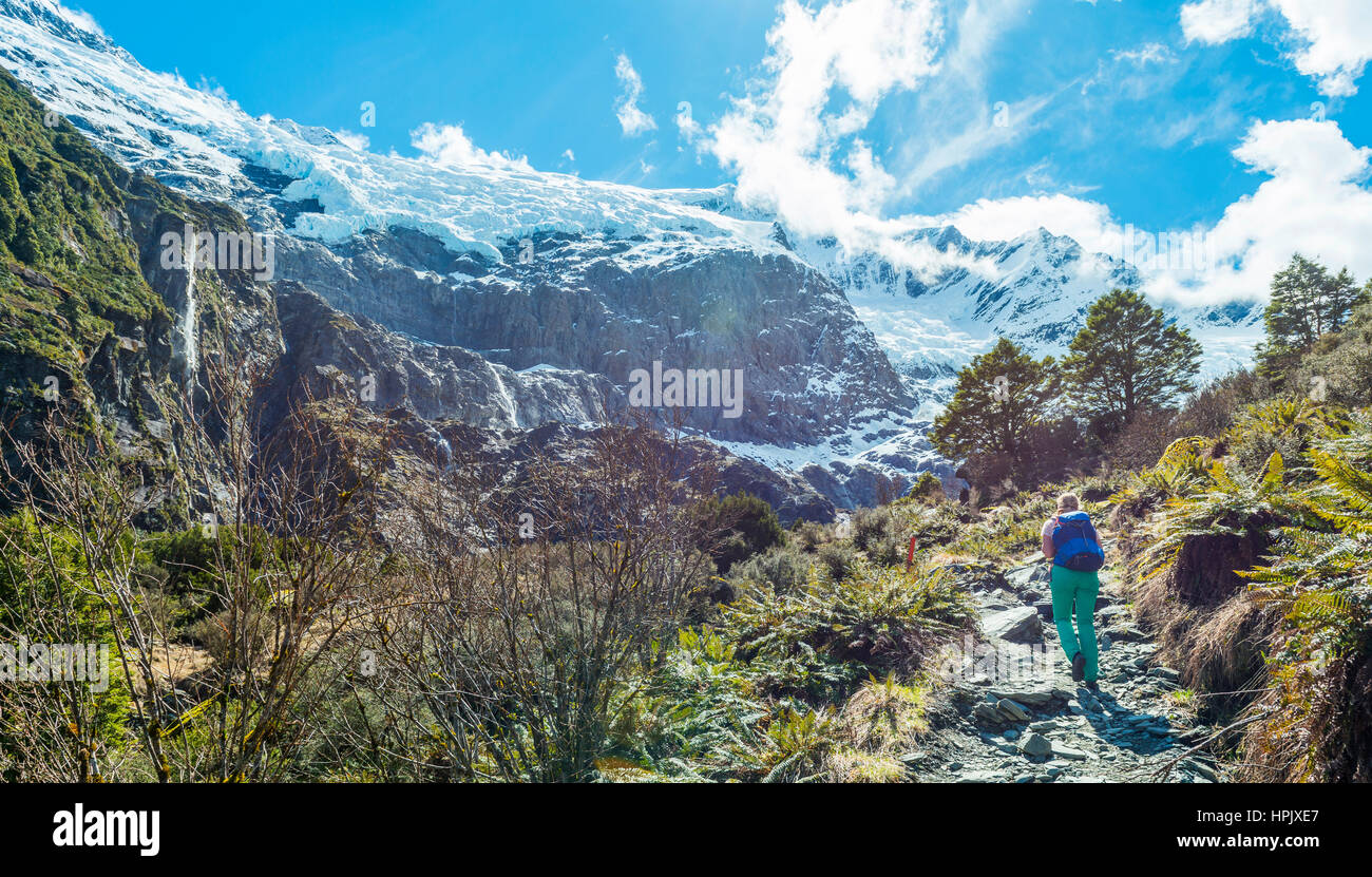Escursionista sul sentiero, Rob Roy ghiacciaio, montare gli aspiranti National Park, Otago Southland, Nuova Zelanda Foto Stock
