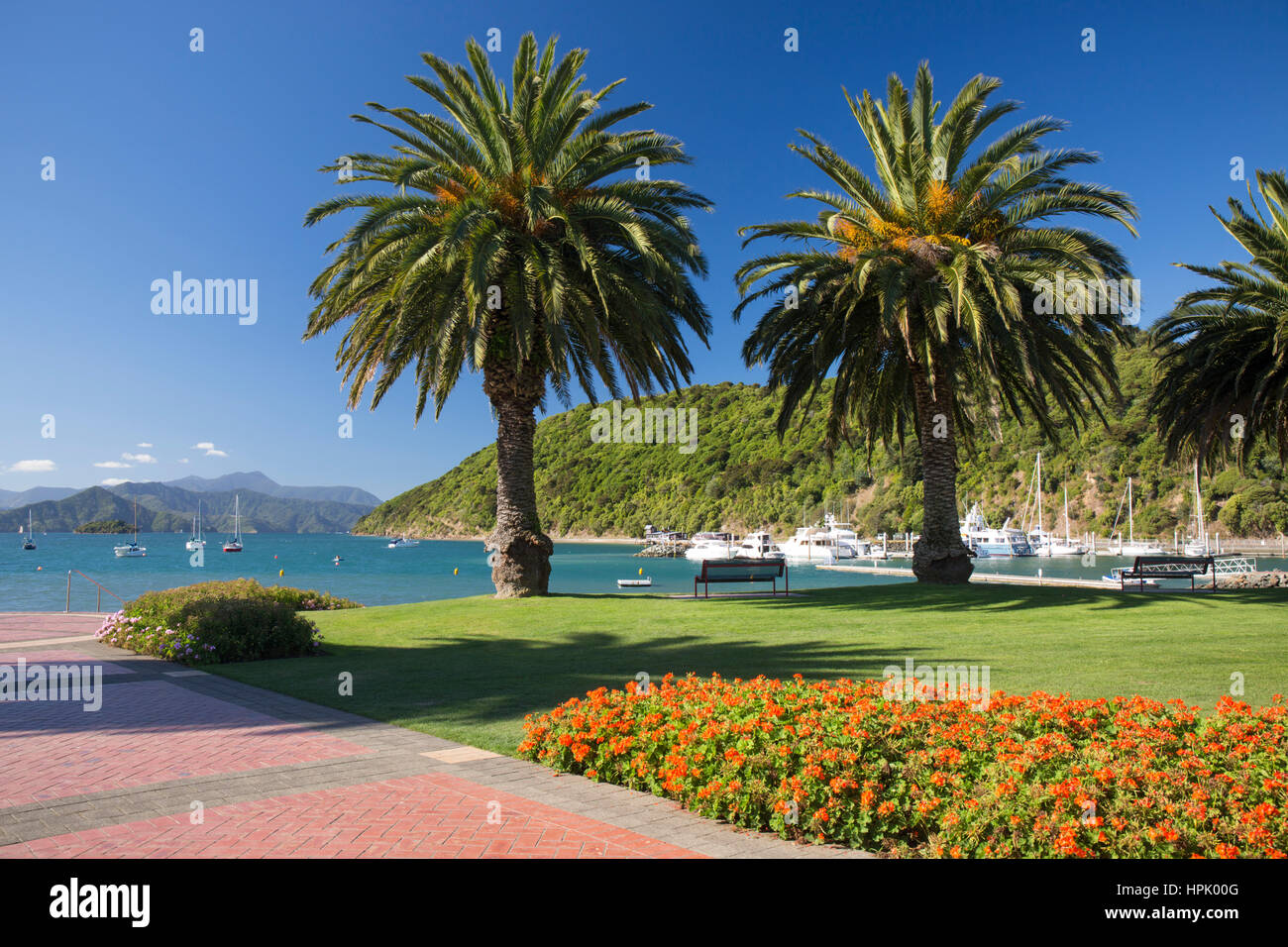 Picton Marlborough, Nuova Zelanda. Vista da giardini per le palme lungomare del porto di Picton e lontane colline del Marlborough Sounds. Foto Stock