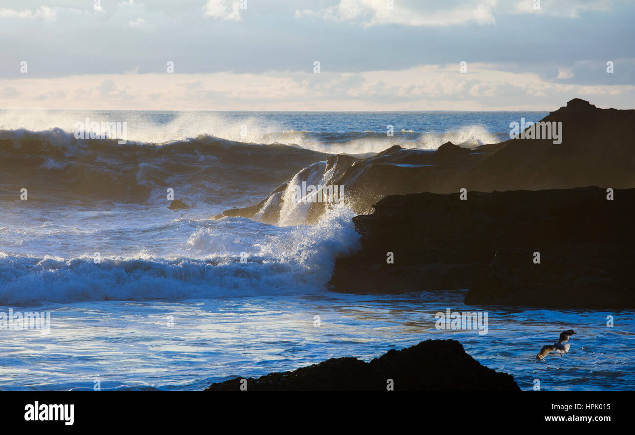 Punakaiki, Paparoa National Park, West Coast, Nuova Zelanda. Potenti onde del Mare di Tasman Schiantati sulla roccia. Foto Stock