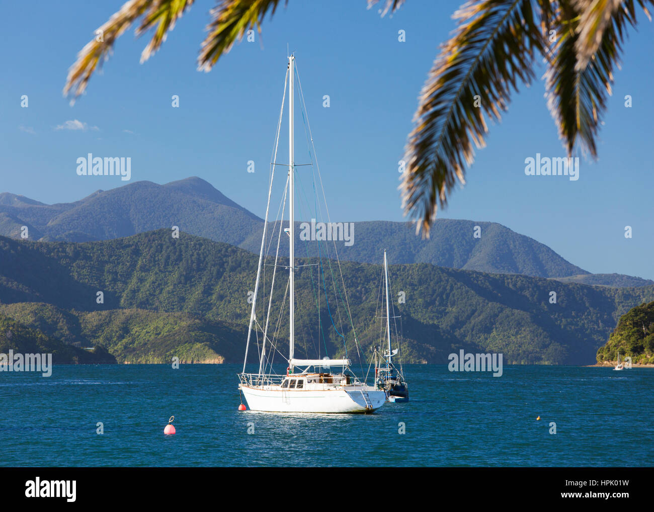 Picton Marlborough, Nuova Zelanda. Vista sul Porto di Picton Queen Charlotte Sound, yacht al di ancoraggio. Foto Stock