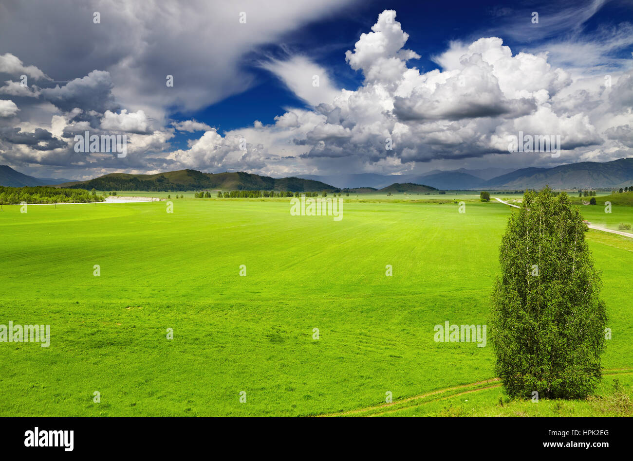 Paesaggio con campo verde e cielo molto nuvoloso Foto Stock
