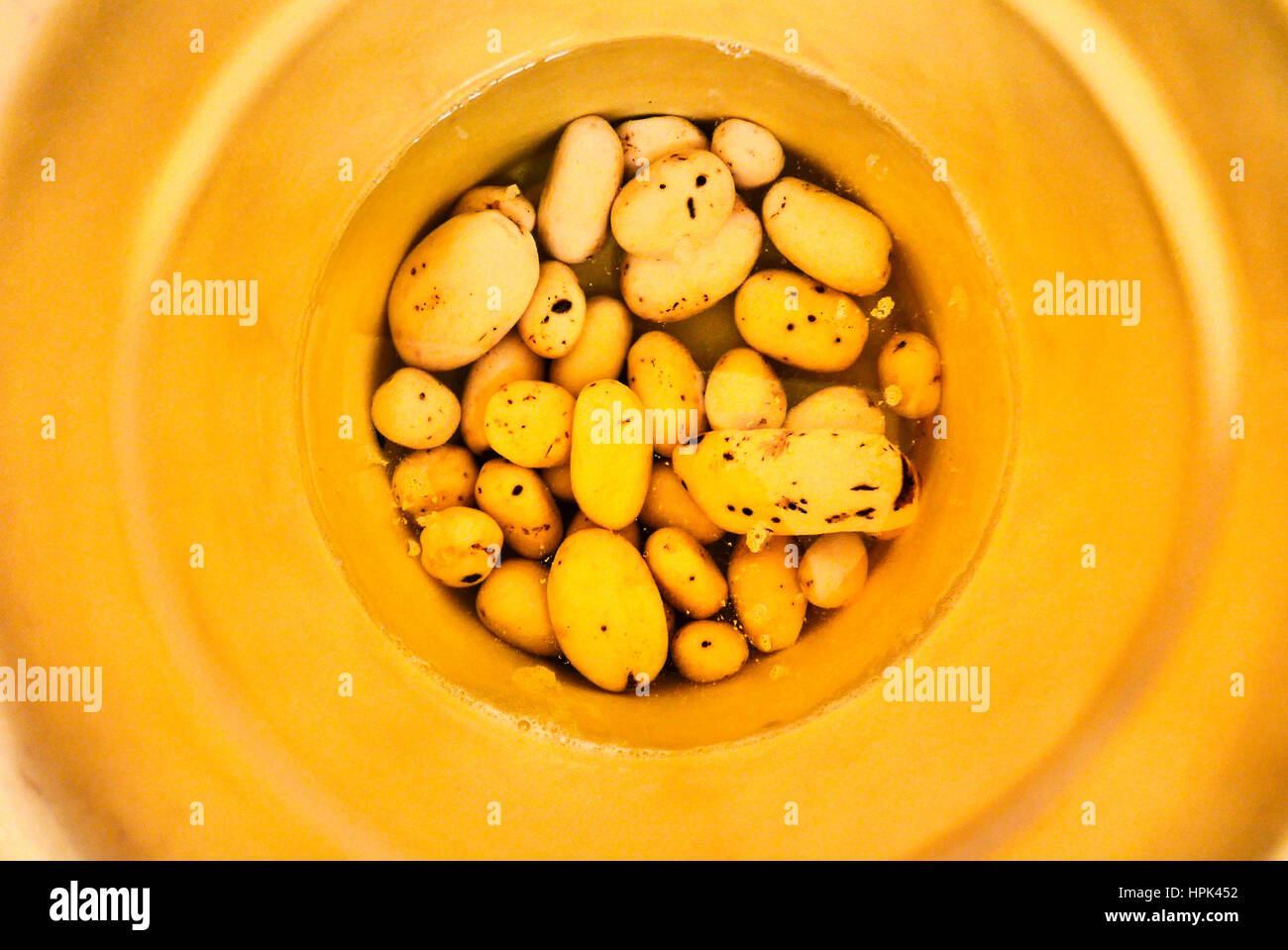 Sbucciate le patate in giallo vasca in plastica Foto Stock