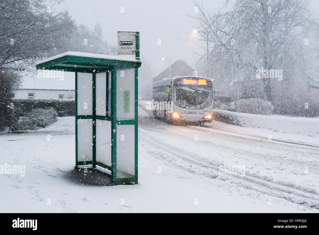 A Killearn, Stirlingshire, Scotland, Regno Unito. Il 23 febbraio, 2017. Regno Unito - previsioni del tempo - la mattina presto autobus che corre nella neve pesante nel villaggio rurale di credito a Killearn: Kay Roxby/Alamy Live News Foto Stock