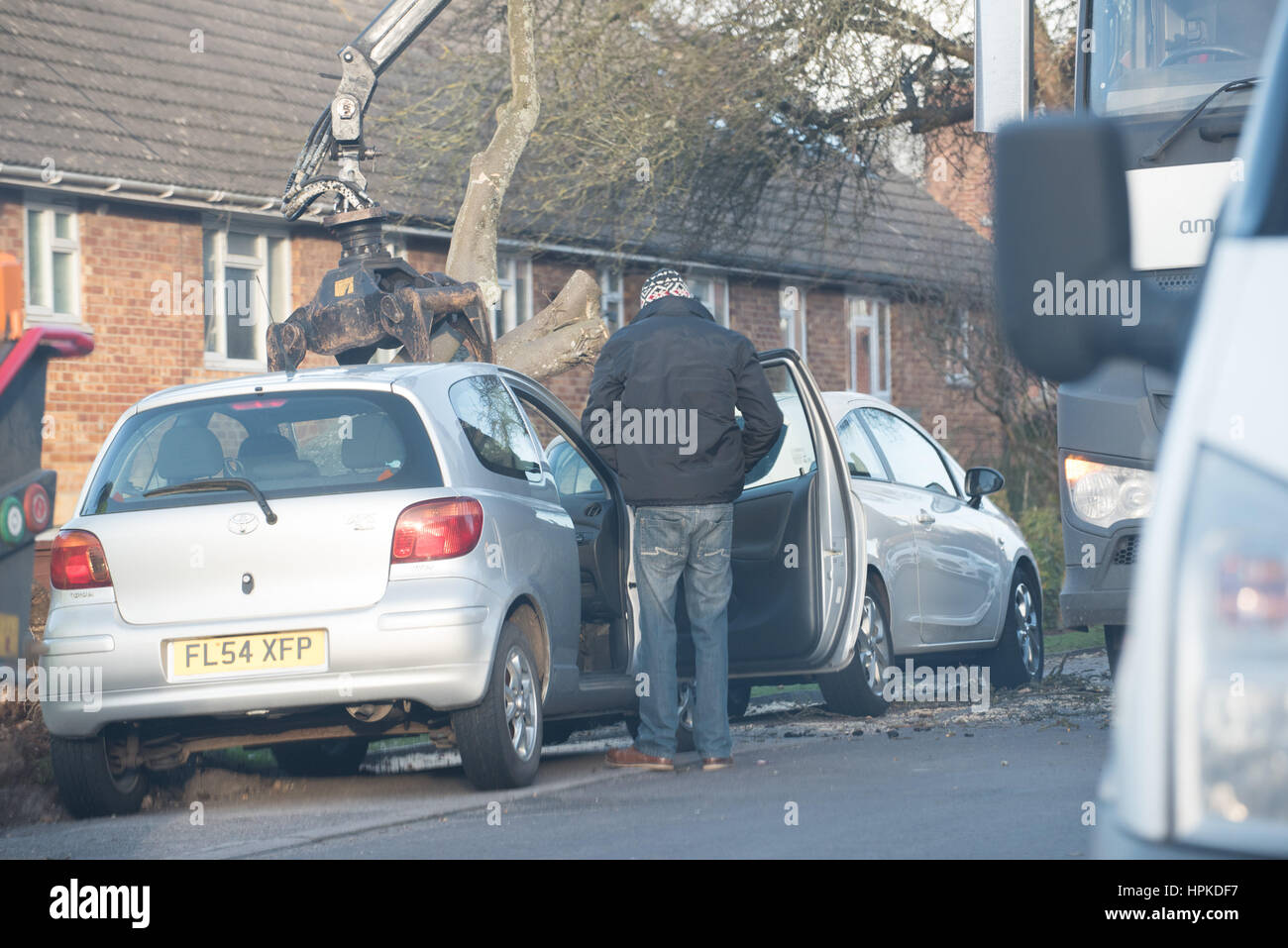 Winchester, Hampshire, Regno Unito. Il 23 febbraio 2017. Regno Unito Meteo, Storm Doris devastazione attraverso hampshire come due vetture sono schiacciati da un grande albero in Winnall, Winchester. Credito: Sarà Bailey/Alamy Live News Foto Stock