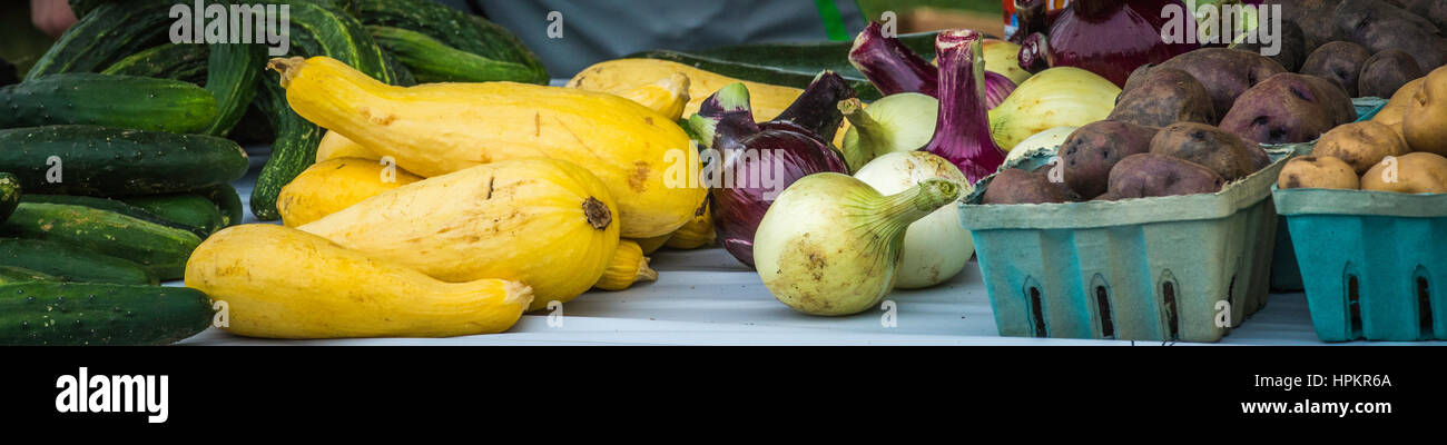 Fattoria di verdure fresche. Foto Stock