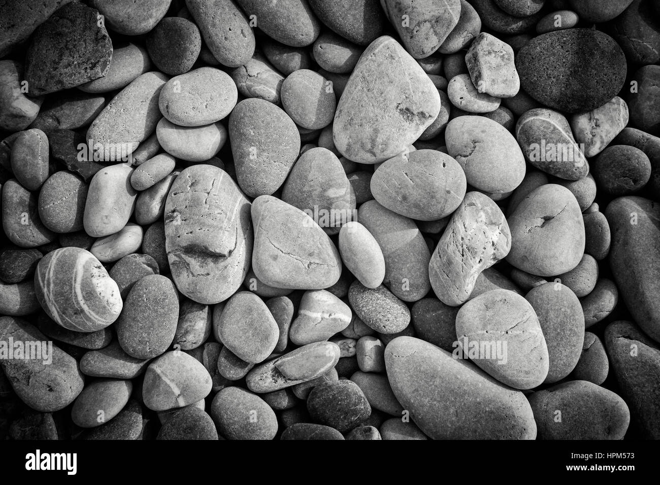 Fishguard, Galles - vignette di lisci ciottoli su una spiaggia in bianco e nero Foto Stock