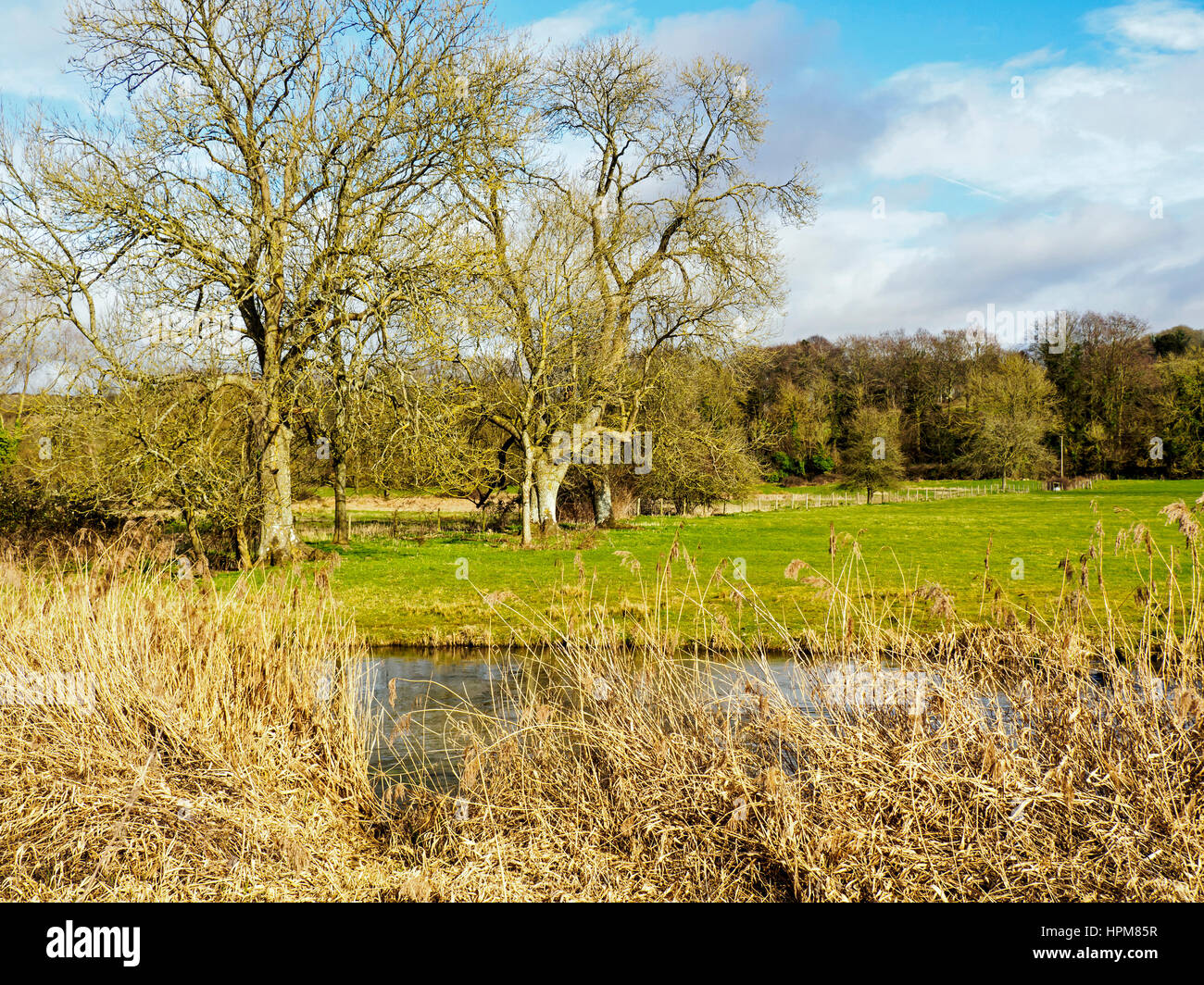 Guardando verso est attraverso i prati Hockley, una specie zona ricca di prati di acqua nell'Itchen Valley vicino a Winchester, Hampshire. Foto Stock
