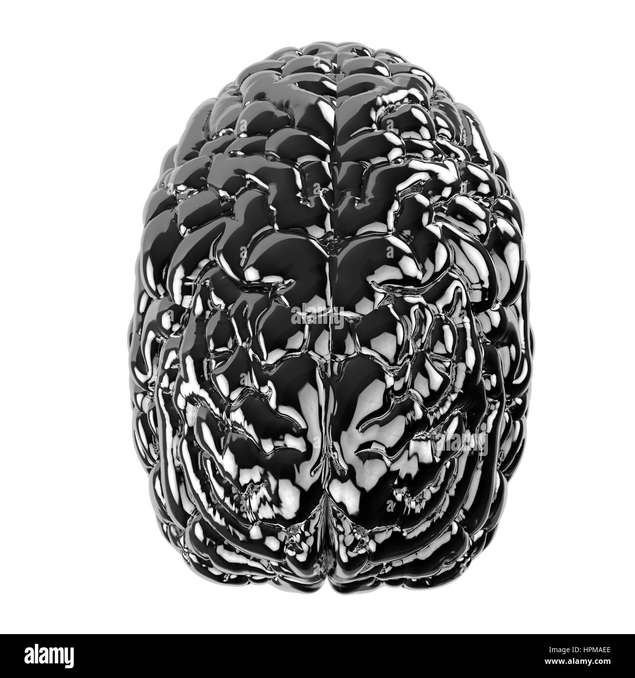 3D rendering nero cervello umano isolato su bianco Foto Stock