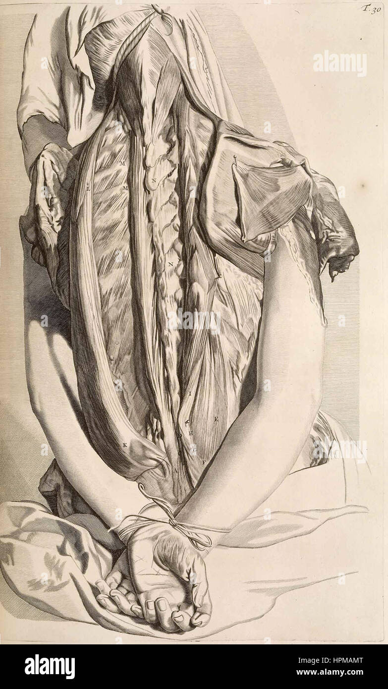 Gerard de Lairesse - Consiglio di anatomia per Govert Bidloo Foto Stock