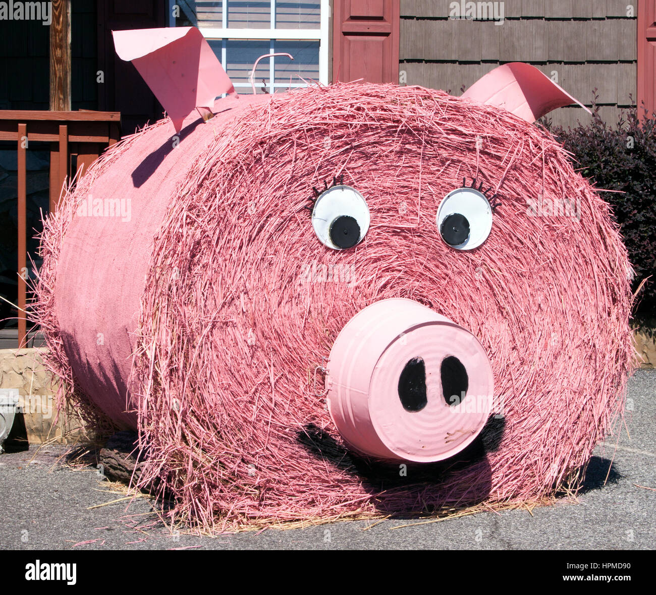A Landrum, South Carolina, un capriccioso maiale di fieno rosa aggiunge un tocco di divertimento e creatività al bordo della strada, deliziando i passanti con il suo fascino. Foto Stock