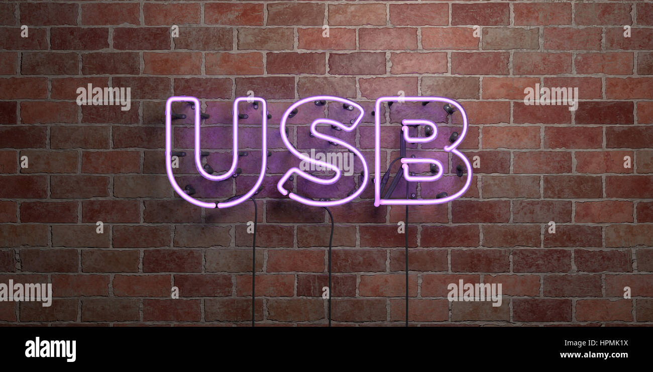 USB - fluorescente tubo al Neon Sign su cotto - Vista frontale - 3D reso Royalty free stock foto. Possono essere utilizzati per gli annunci tramite banner on line di altezza e direct mail Foto Stock