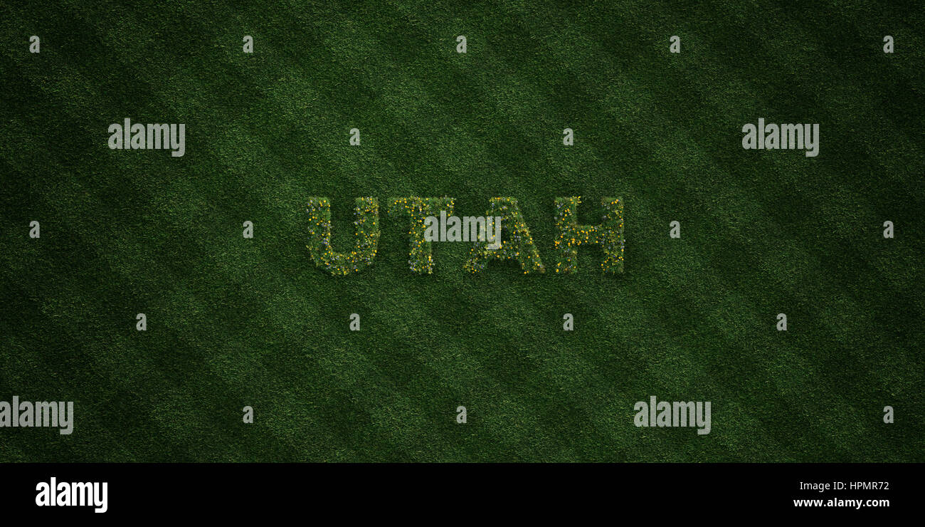 UTAH - erba fresca lettere e con i fiori di tarassaco - 3D reso Royalty free stock foto. Possono essere utilizzati per gli annunci tramite banner on line di altezza e direct mailer. Foto Stock