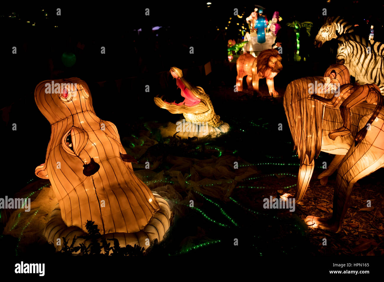 Lanterne di Safari Foto Stock