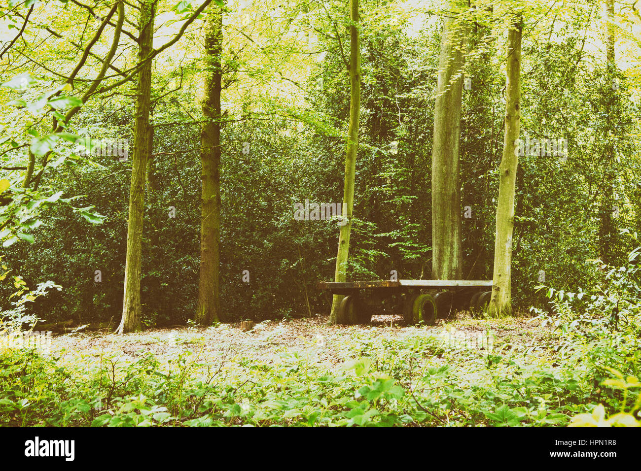 Vecchio abandond rimorchio sinistra nel bosco Foto Stock