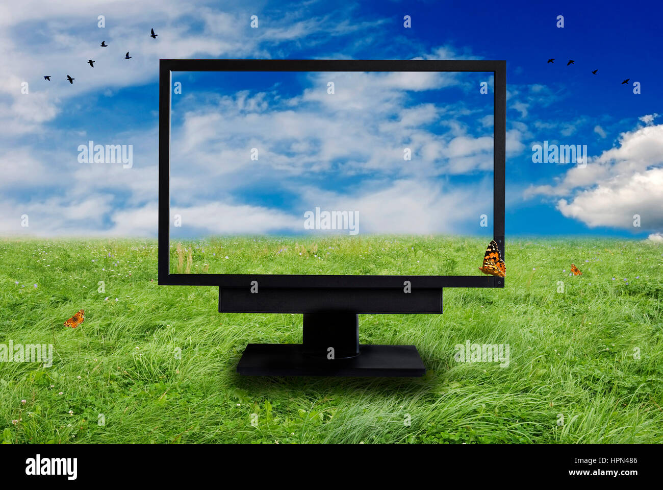 Trasparente sul monitor di un computer con farfalle e natura paesaggio dietro Foto Stock