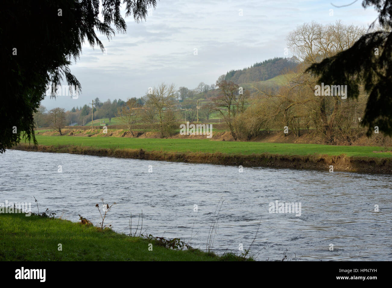 Il fiume Wye a Builth Wells Foto Stock