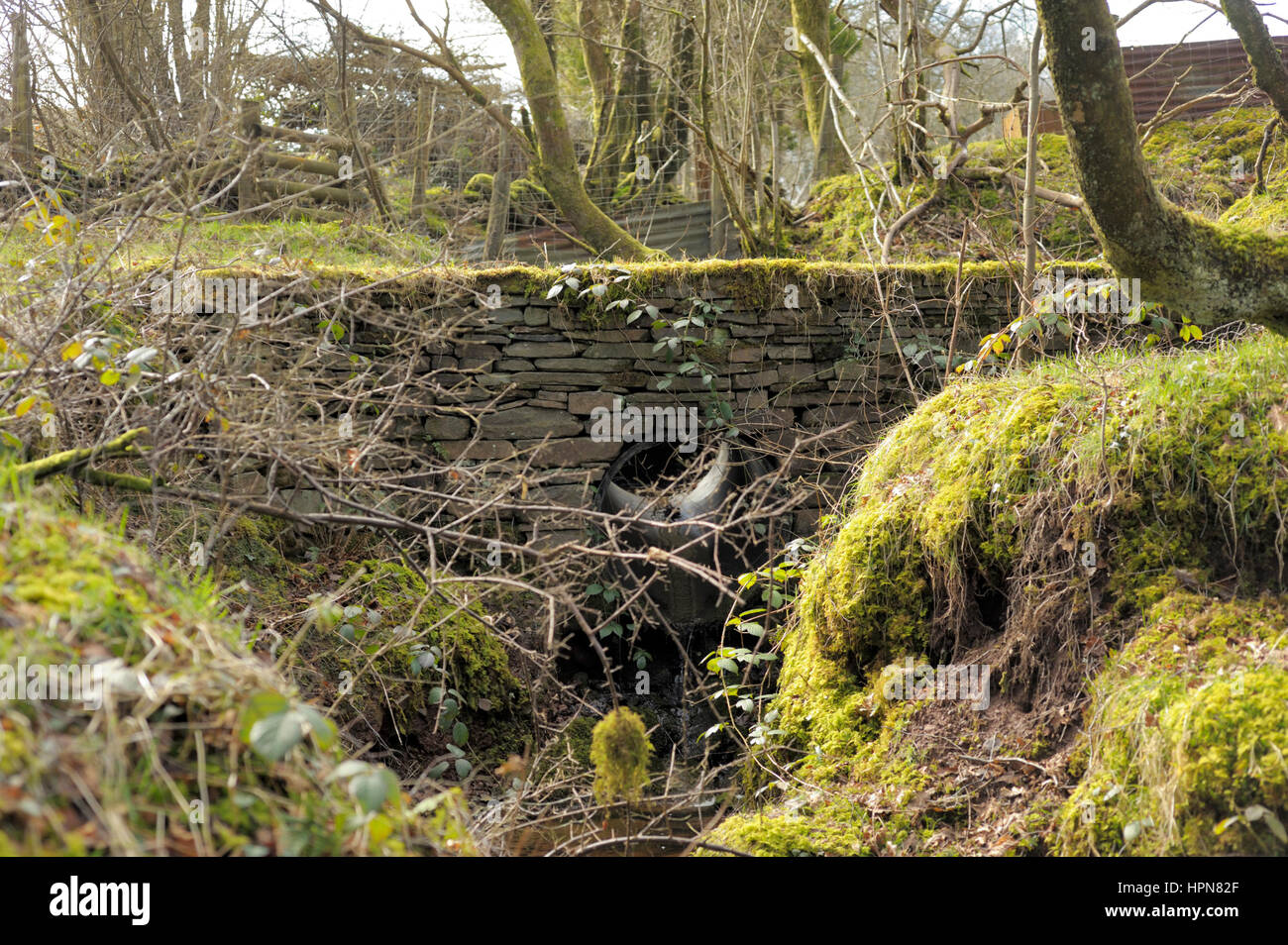 Ponte di volgare in Cae Bryntywarch Foto Stock