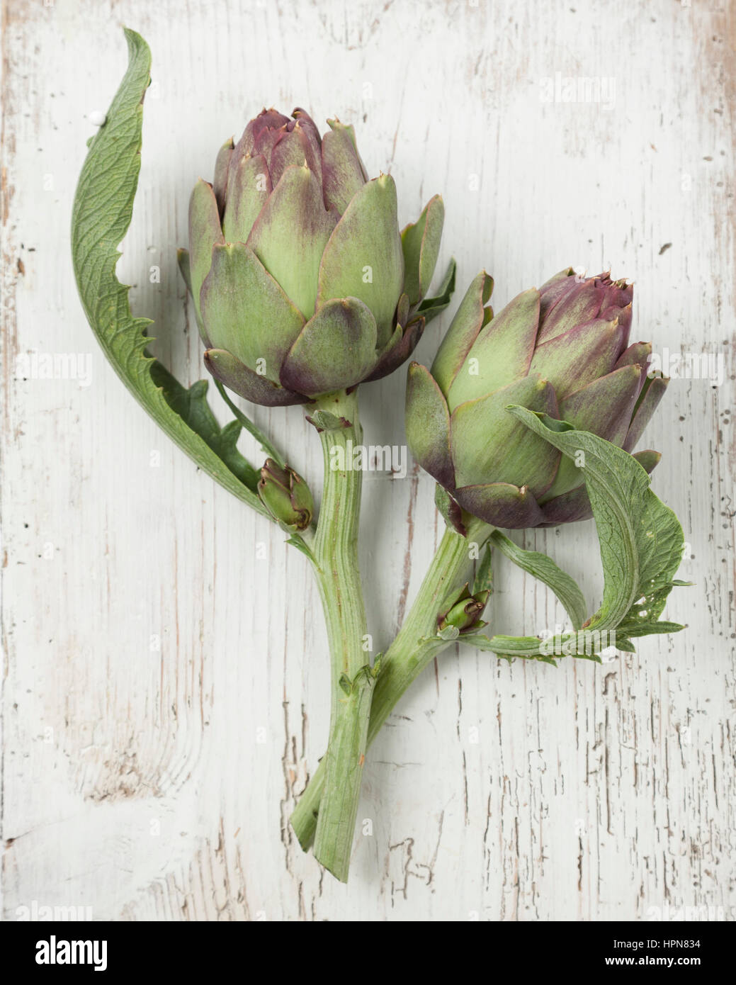 Due violetta carciofi in distressed sfondo di legno Foto Stock