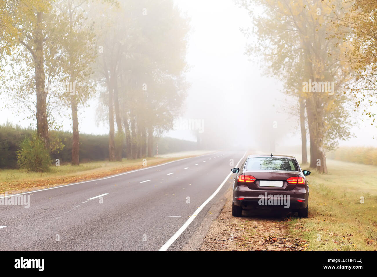 Brown auto sulla strada in autunno mattina Foto Stock