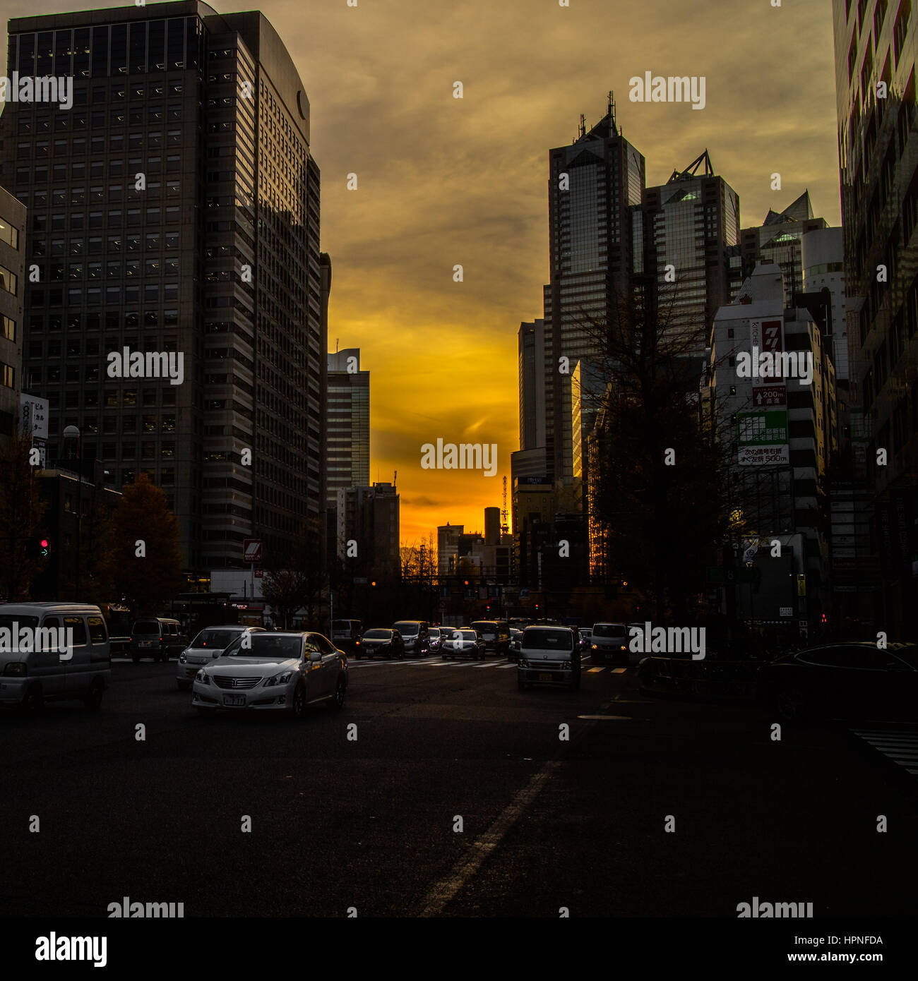 Un tramonto evidenziando nuvole grigie nel cielo in Shinjuku. Foto Stock