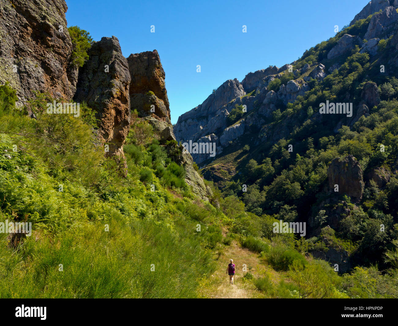 Donna escursioni nel paesaggio di montagna vicino Cucayo nel Parco Nazionale Picos de Europa Cantabria Spagna settentrionale Foto Stock