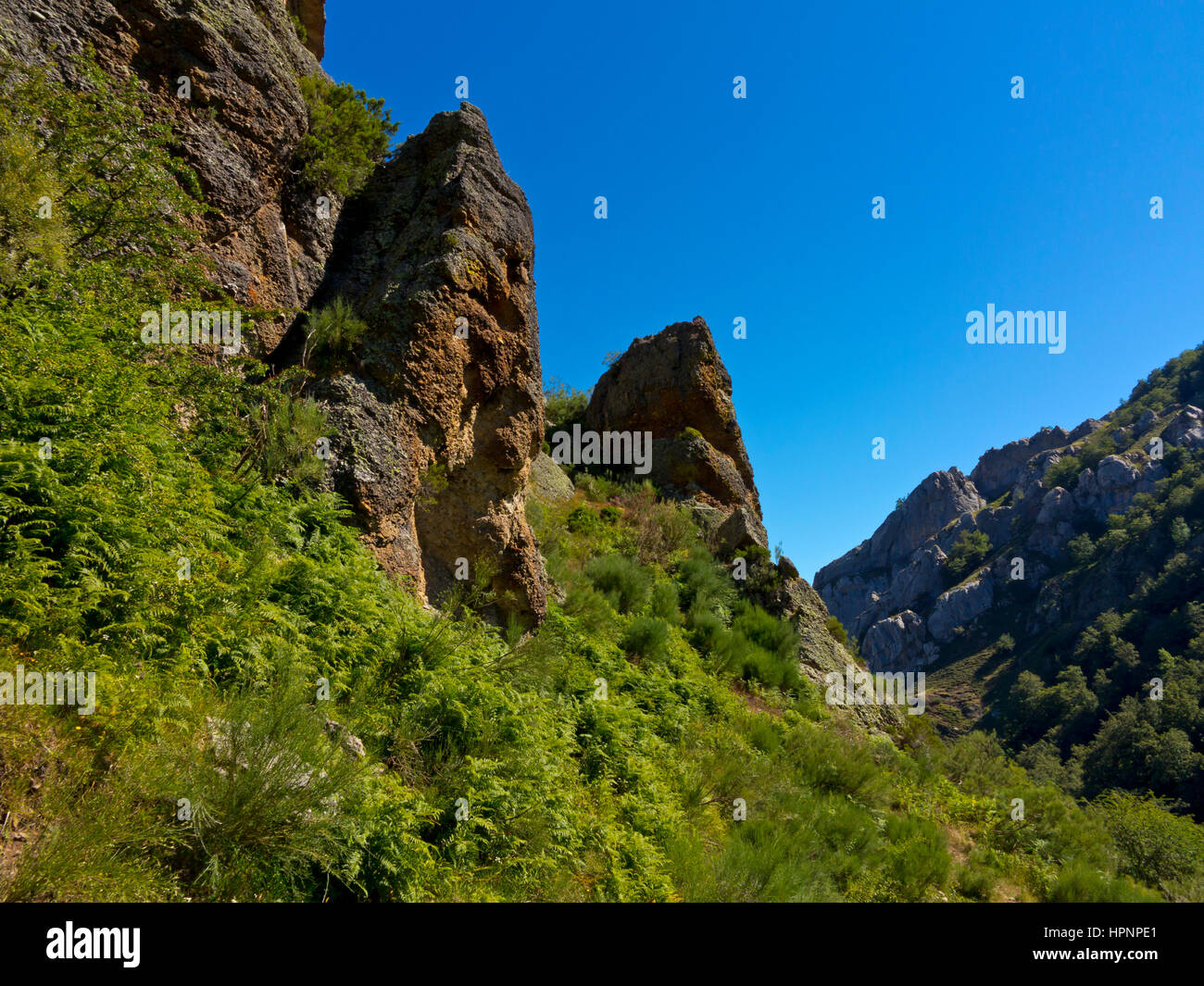 Paesaggio di montagna vicino Cucayo nel Parco Nazionale Picos de Europa Cantabria Spagna settentrionale Foto Stock