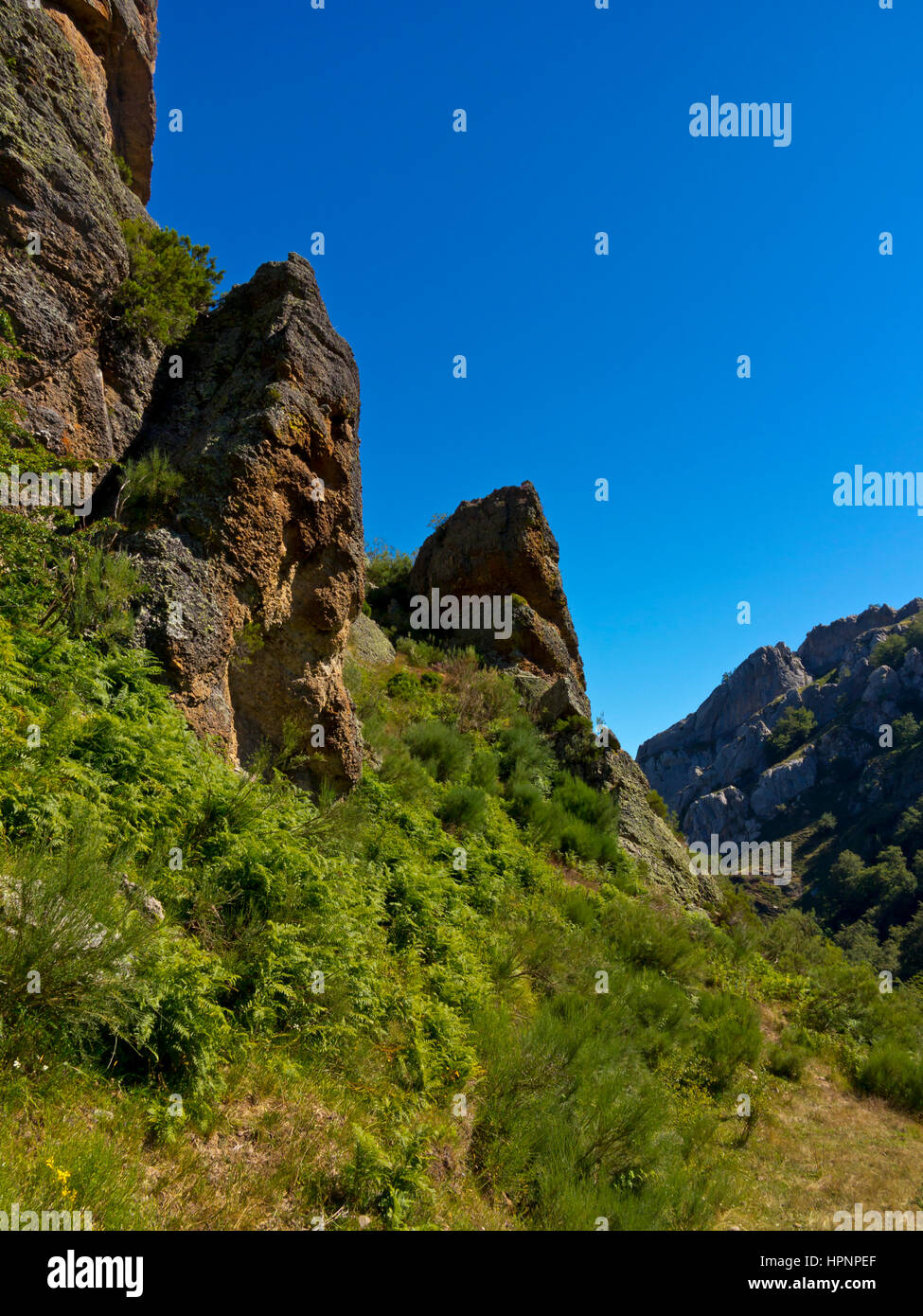 Paesaggio di montagna vicino Cucayo nel Parco Nazionale Picos de Europa Cantabria Spagna settentrionale Foto Stock